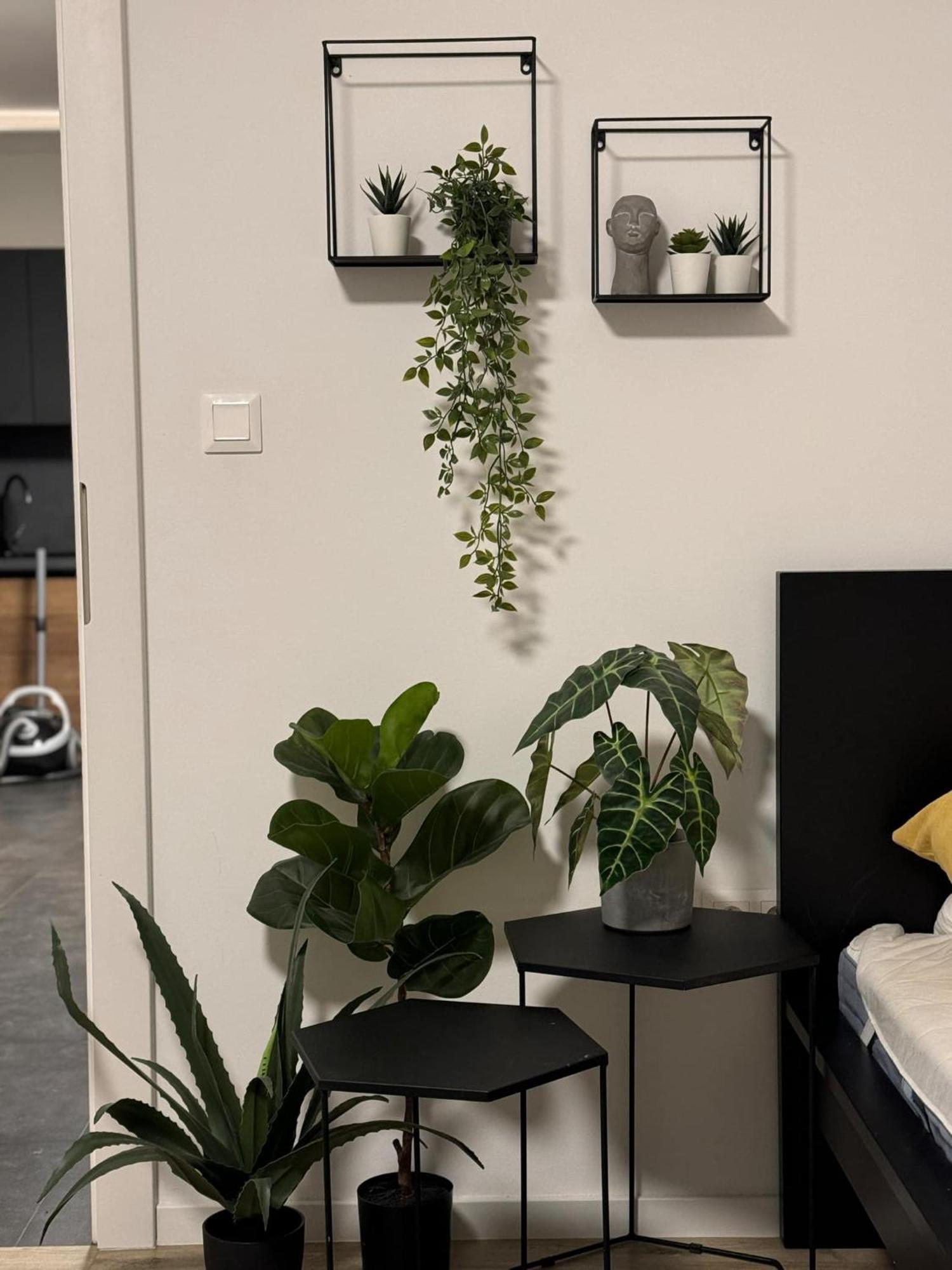 Apartmany Elli Mýto pod Ďumbierom Buitenkant foto